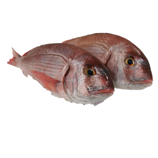 Pargo entero fresco