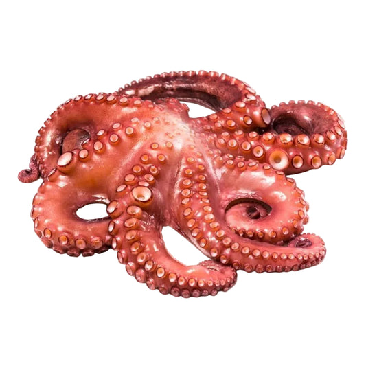Pulpo precocido entero