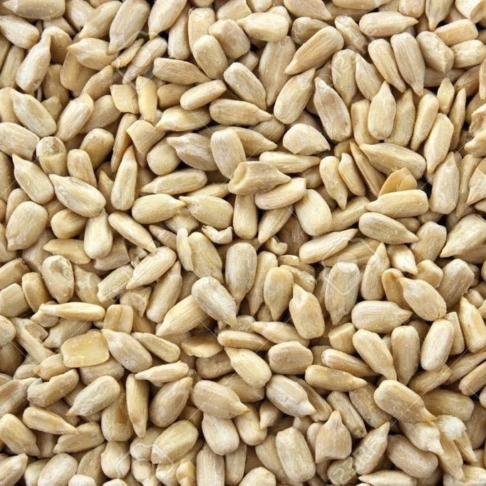 SEMILLA GIRASOL