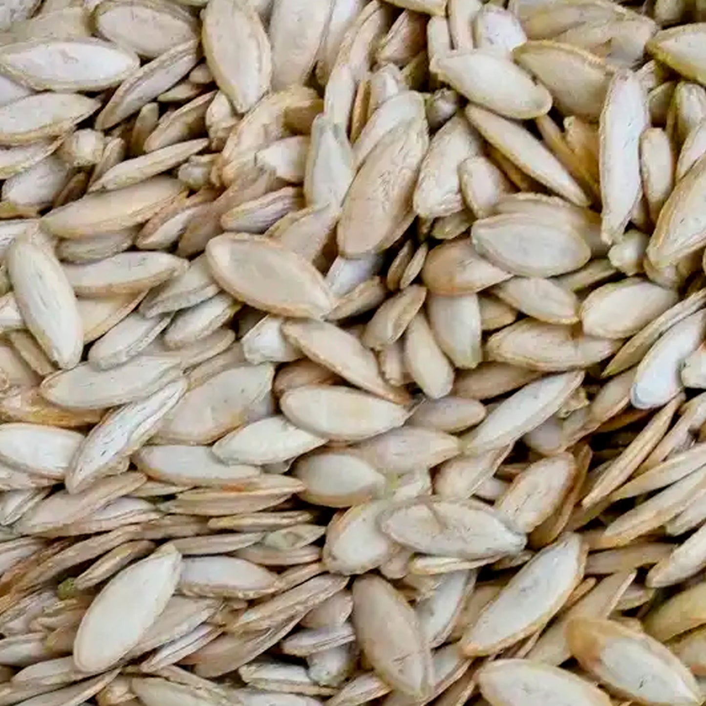 Semilla Tapatía 1 kg