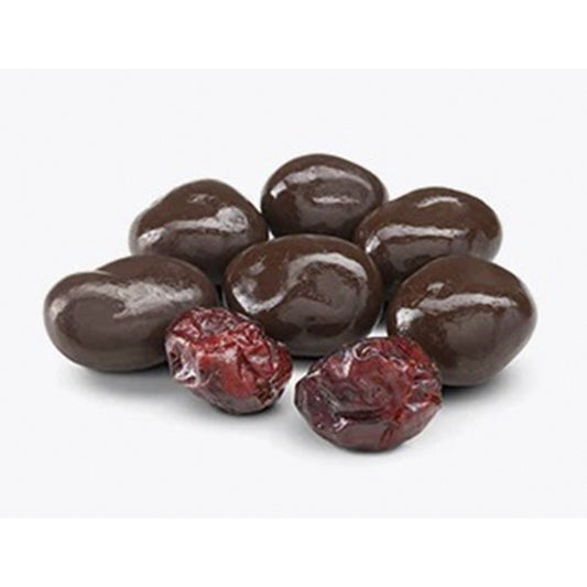 ARANDANO CHOCOLATE SIN AZUCAR